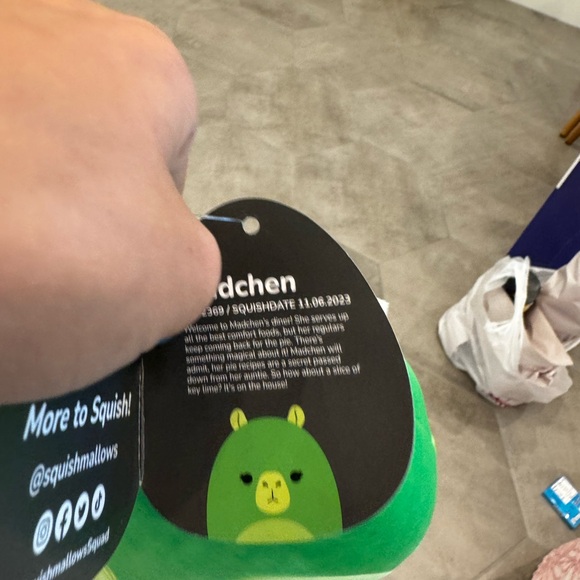 Madchen the lime capybara - Picture 3 of 3